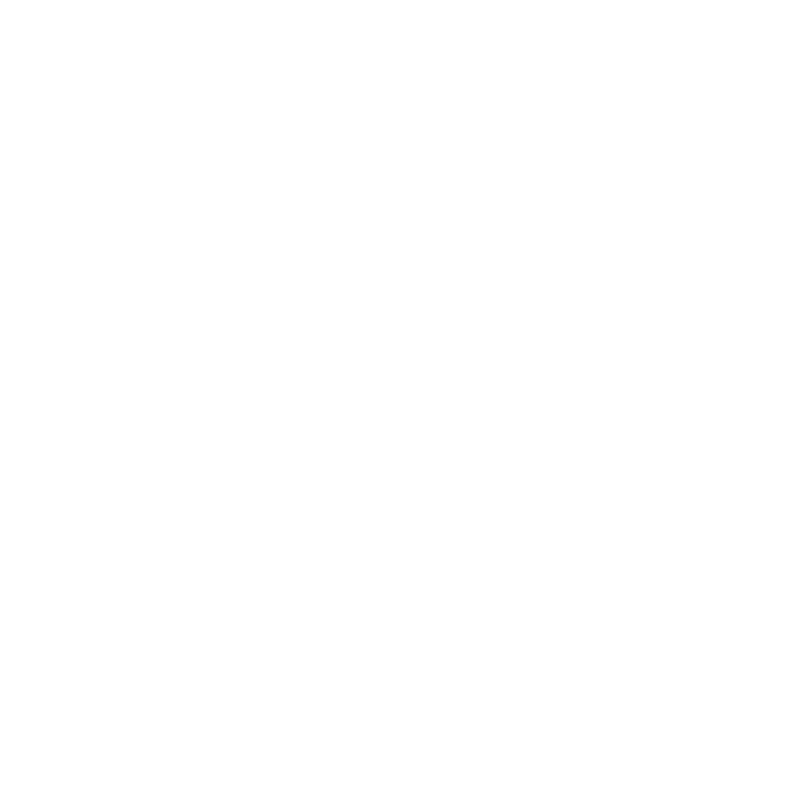 Bridge House Advisors Logo